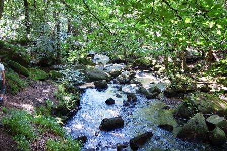 Padley gorge walk